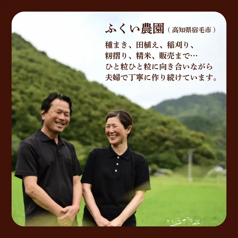 令和8年産 よさ恋美人 15kg 白米