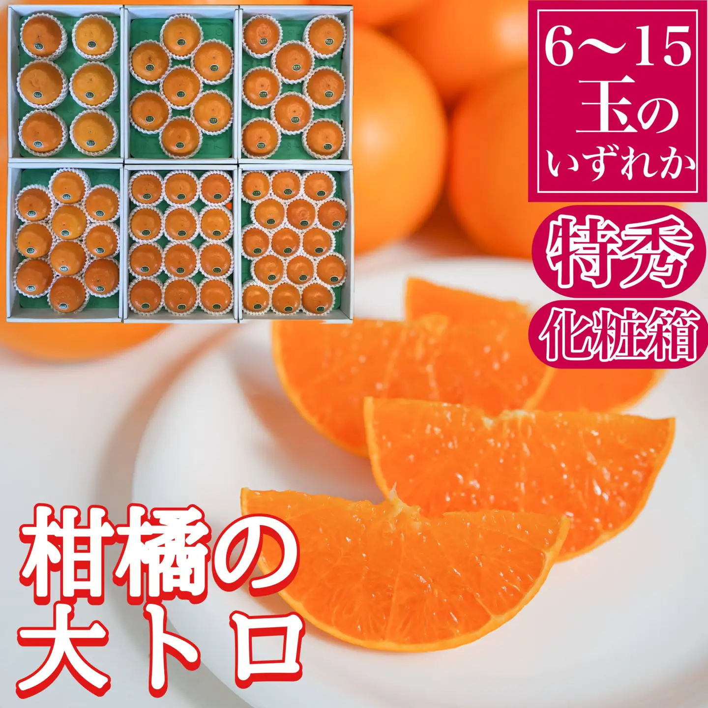 定期便 旬の有田産かんきつ味わい セット 全4回 お届け 南泰園 みかん