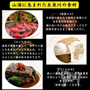 ペアご宿泊券 『ホテル國富アネックス』姫川畔に建つ温泉宿 糸魚川温泉 新潟県