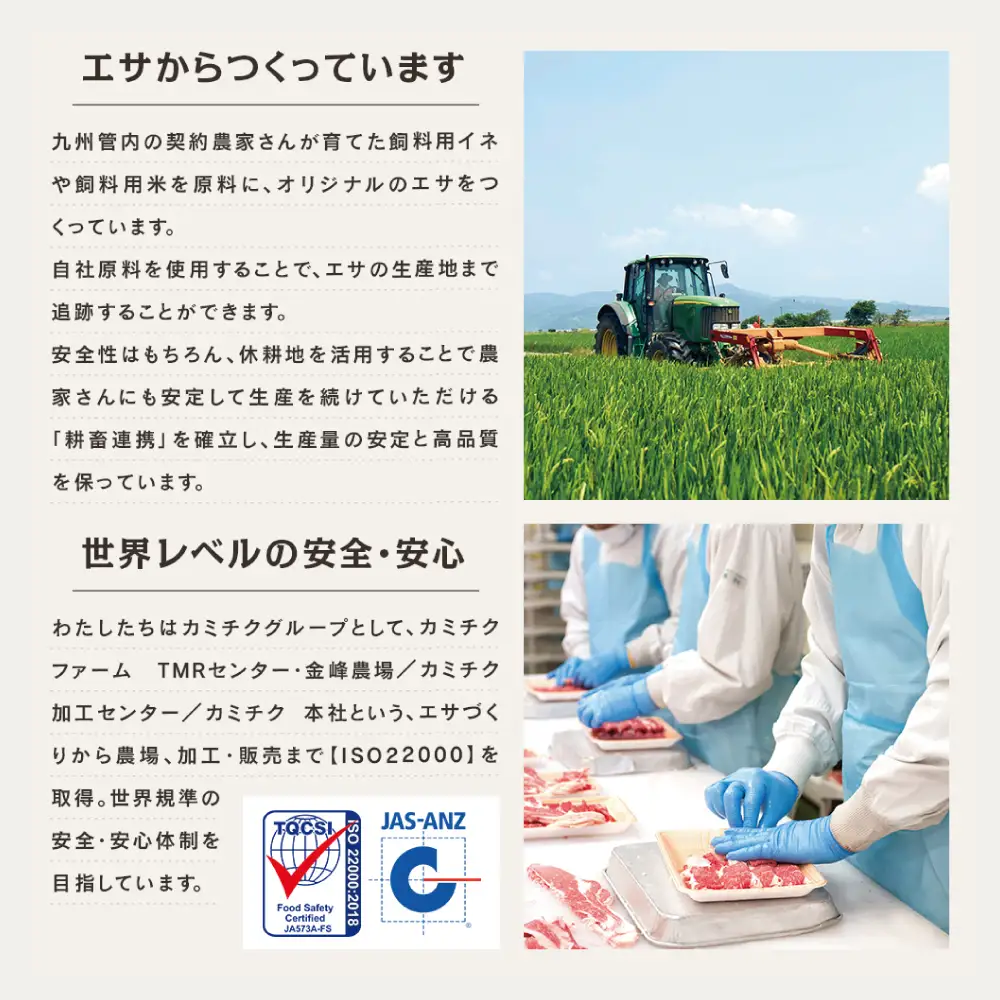 【定期便 全12回】情熱牧場 鹿児島県産お肉の定期便 プレミアムコース お肉 ステーキ すき焼き しゃぶしゃぶ A5等級 ブランド 黒毛和牛 牛肉 豚肉 焼肉 定期便 冷凍