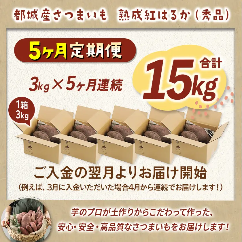 【5回お届け!】都城産 長期熟成紅はるか 3kg 定期便〔TLE5-I201〕_(都城市) 都城産 さつまいも 熟成紅はるか 秀品 3kg サイズ未選別 S～L 