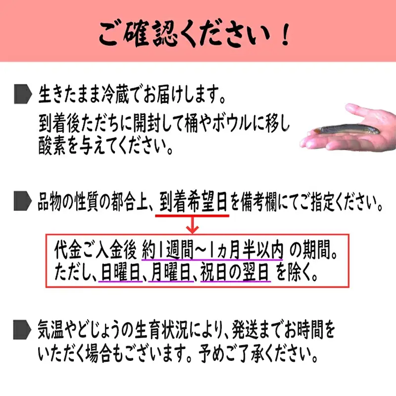 やすぎどじょう500g（女子高生制作どじょう料理レシピBOOK付き）【どじょう 活魚 生きたまま 食用 養殖 やわらかい 弾力 クセがない レシピ付き 魚 美味しい 栄養 食べやすい 新鮮 島根県 安来市】【価格変更】【13-DS-02】