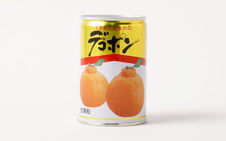 デコポン ･ 甘夏 缶詰 (ご家庭用)  300g×各6缶ずつ 合計3.6kg 12缶 2種 セット 缶詰め 常温保存