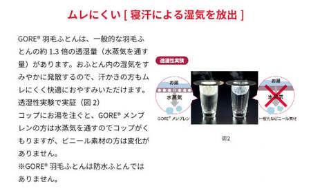 西川GORE®羽毛掛けふとん〈ホワイトグース〉シングル B [高島屋選定品］ (株)高島屋洛西店 滋賀県 東近江市 IB02 羽毛布団 ゴア ポーランド産