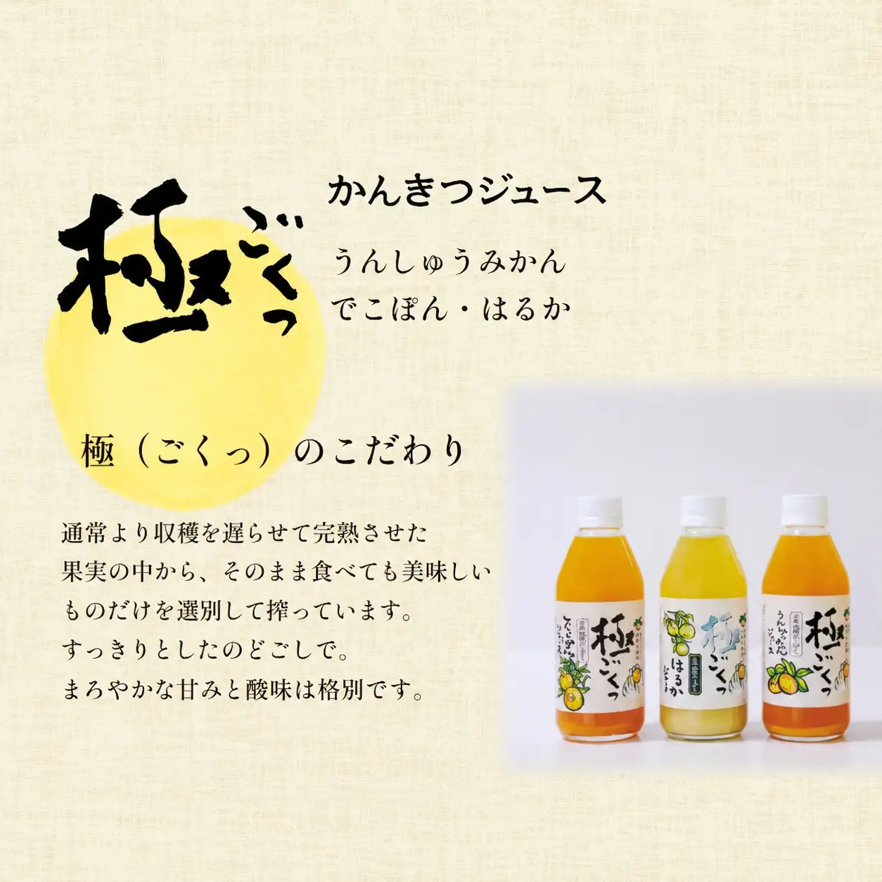 柑橘ジュース「極っ」なかざセット