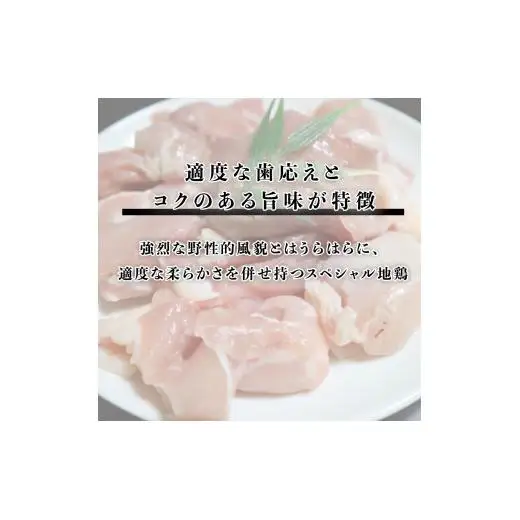 熊ヤン生ソーセージ