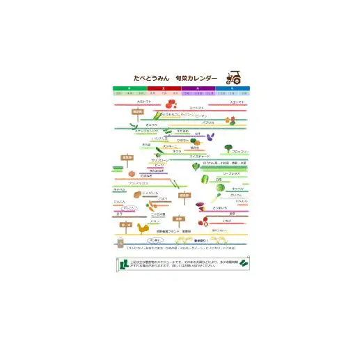 【定期便/3ヶ月お届け】たべとうみんの旬菜ボックス（お米付）