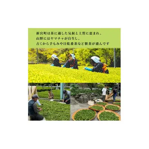 特選　新宮茶セット