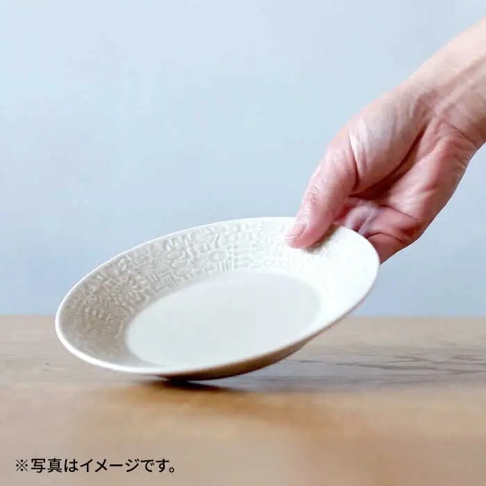 【波佐見焼】PATTERNED PLATE,MUG  セット morning mist 【BIRDS' WORDS】[CF035] 波佐見焼