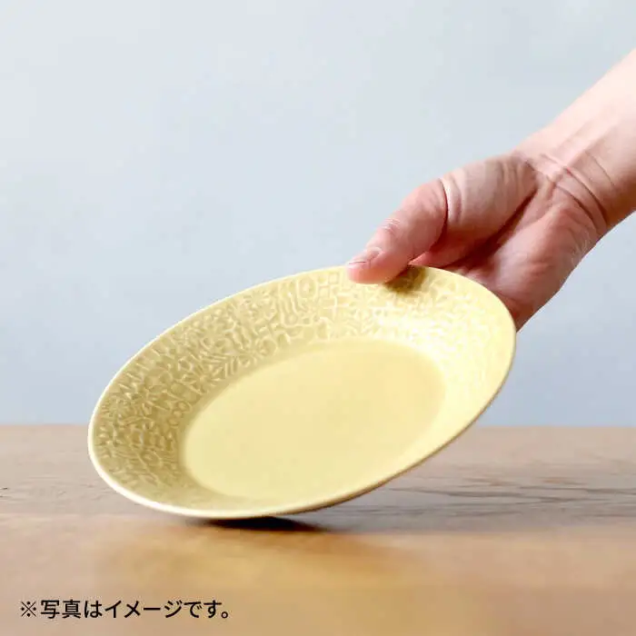 【波佐見焼】PATTERNED PLATE,MUG  セット yellow 【BIRDS' WORDS】[CF039] 波佐見焼