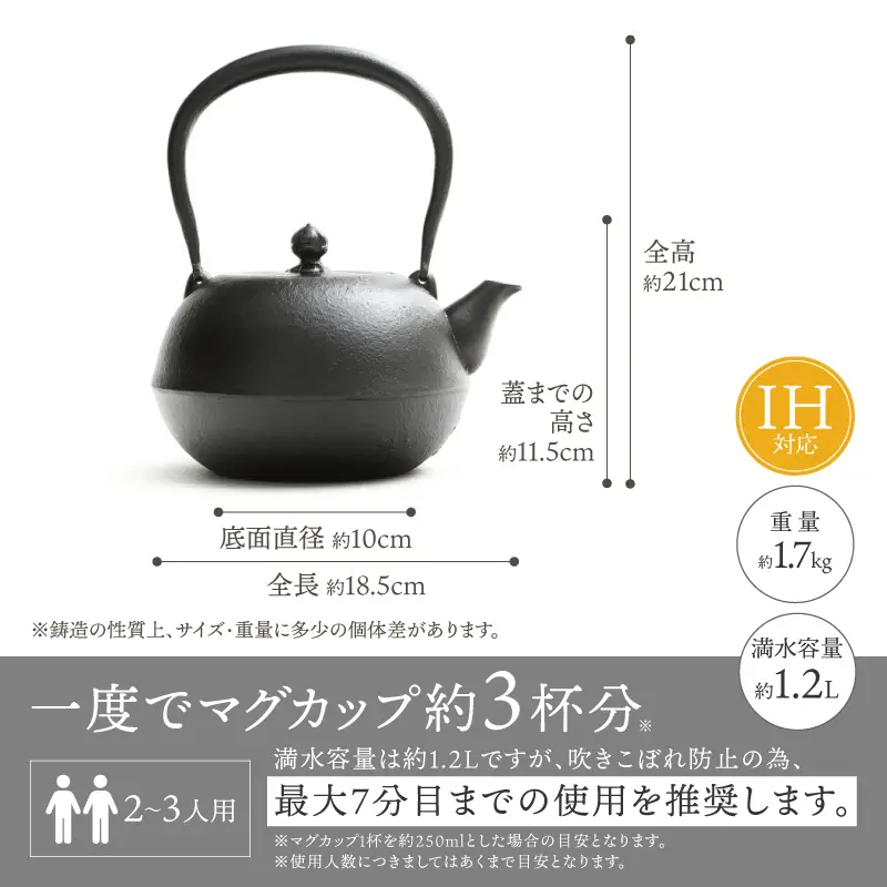 南部鉄器 鉄瓶 寒梅美肌鉄瓶 ～BIHADA～ 1.2L IH調理器 伝統工芸品 やかん ケトル キッチン用品 食器 日用品 雑貨 [BE002]