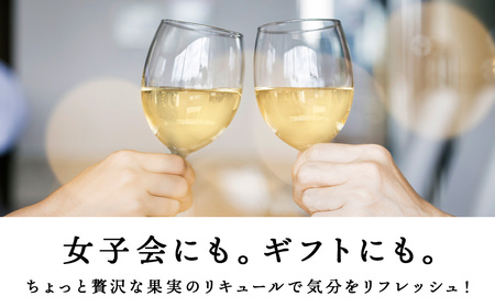 果汁たっぷり！そのまま飲める♪リキュール おまかせ定期便 2本×全3回＜余市リキュールファクトリー＞_Y020-0597
