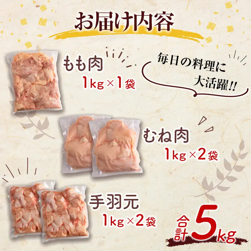 宮崎県産鶏肉 スペシャル鶏三昧セット 合計5kg【B607-2505】