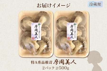しいたけ 特A 秀品 2パック 計500g 摩周美人 シイタケ 椎茸 生しいたけ きのこ キノコ 菌床栽培 大粒 肉厚 BBQ バーベキュー 送料無料 北海道 弟子屈町 5000円 1803