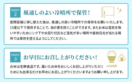 お米 ミルキークイーン 5kg 無洗米 10ヶ月 お米