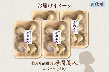 しいたけ 特A 秀品 4パック 計1kg 摩周美人 シイタケ 椎茸 生しいたけ きのこ キノコ 菌床栽培 大粒 肉厚 BBQ バーベキュー 送料無料 北海道 弟子屈町 1949