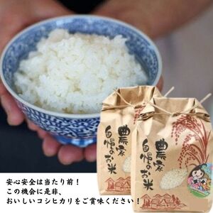 【6ヶ月定期便】新潟県産コシヒカリ5kg×6ヶ月(合計30kg)プロが認める棚田米 令和6年産 糸魚川 能生谷産こしひかり