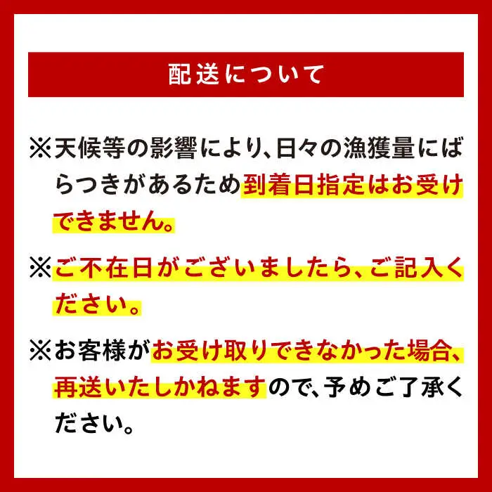朝どれ 鮮魚 詰め合わせ 3種（2-3人前） 下処理 あり / アジ アラカブ タイ カワハギ など  魚 新鮮 セット 冷蔵 産地直送 下処理済み / 南島原市 / 美吉屋 [SDW003]