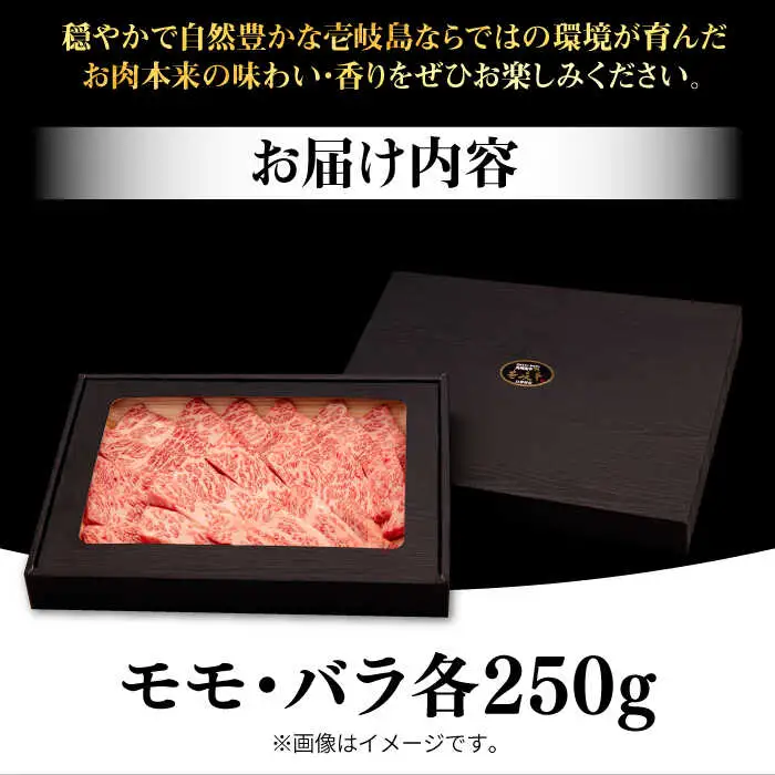 壱岐牛 焼肉用 モモ・バラ（カルビ） 500g  [JFE058] 牛肉