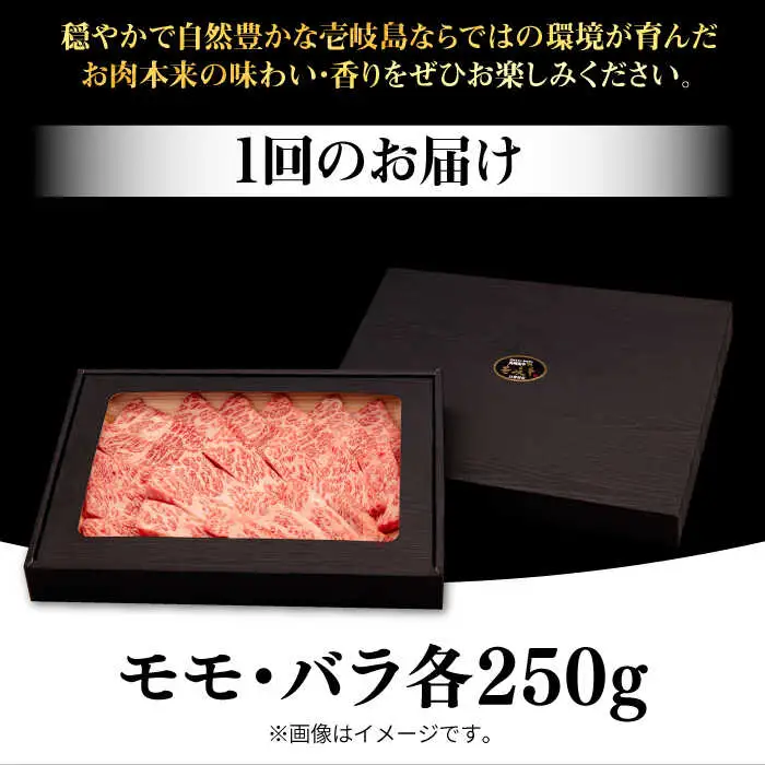 【全3回定期便】 壱岐牛 焼肉用 モモ・バラ（カルビ） 500g《壱岐市》【株式会社イチヤマ】 肉 牛肉 焼肉 モモ バラ カルビ BBQ [JFE066] 63000 63000円