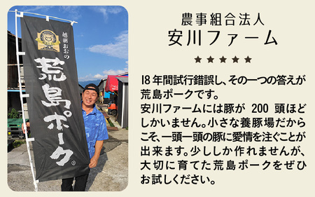 ブランド豚 荒島ポークのハンバーグ・メンチカツ 詰め合わせ