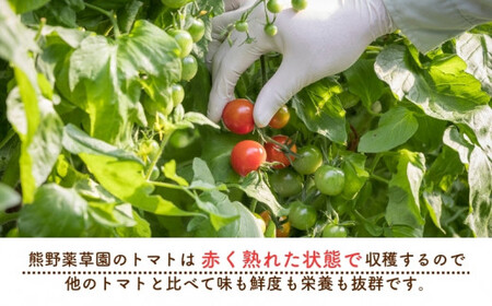 【2027年1月以降配送】熊野薬草園のミニトマト（1.2kg×2箱） 【kmys0002A】