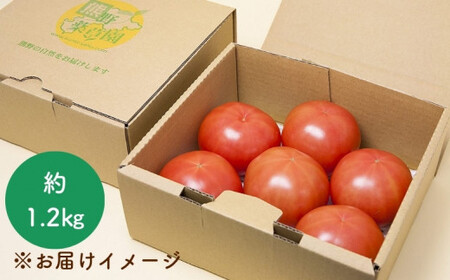 【2027年1月以降配送】熊野薬草園の大玉トマト（1.2kg） 【kmys0005A】