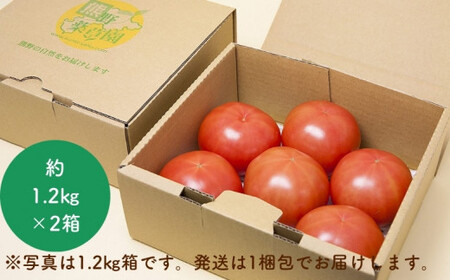 【2027年1月以降配送】熊野薬草園の大玉トマト（1.2kg×2箱）【kmys0006A】