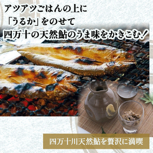 四万十川天然鮎を贅沢に満喫！極上うるか（１瓶）と一夜干し（２尾）セット Esg-A21 あゆ アユ 鮎のひらき あゆのひらき 魚 魚介 川魚 塩焼き 干物 ひもの 海鮮 塩辛 にがうるか うるか おつまみ 珍味 発酵食品 鮎 鮎 鮎 鮎 鮎