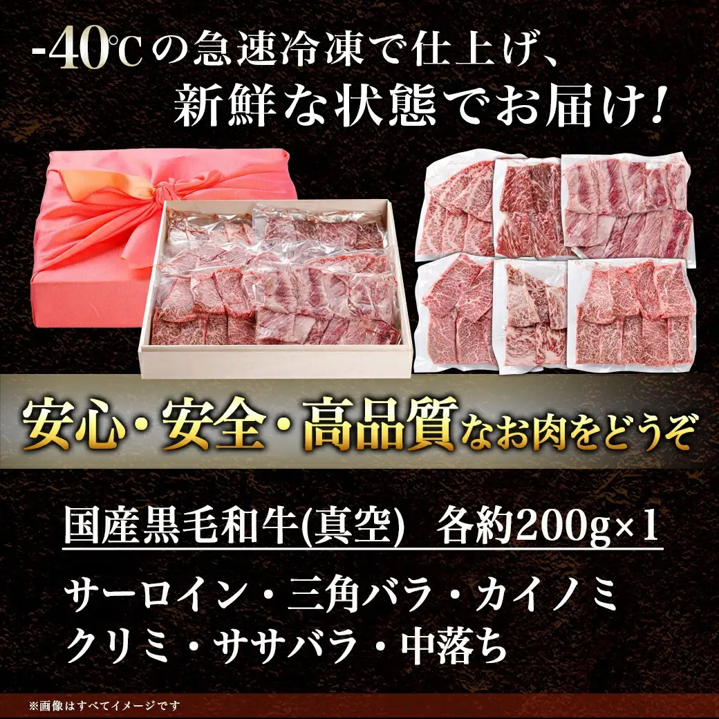 【黒毛和牛】焼肉6種盛り食べ比べセット(真空包装)〔33-4201〕_(都城市) 国産 黒毛和牛 真空 各約200g サーロイン 三角バラ カイノミ クリミ ササバラ 中落ち 焼肉 6種類 