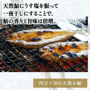 四万十川の天然鮎 大サイズ一夜干し（5枚セット） Esg-A26 あゆ アユ 魚 魚介 川魚 塩焼き 干物 ひもの 海鮮 鮎 鮎 鮎 鮎 鮎