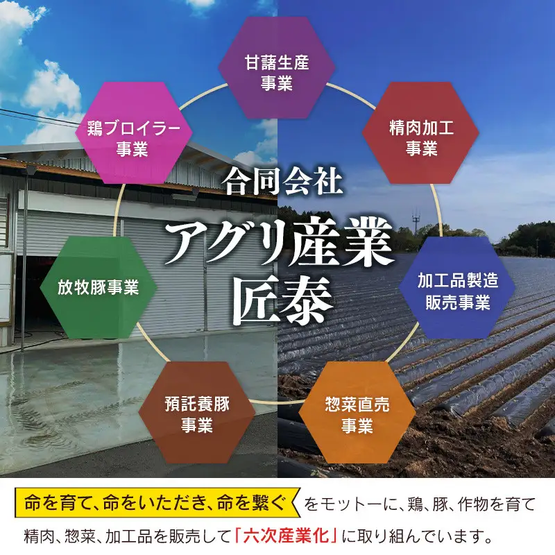 ChaChatぐるめ 15袋バラエティセット【B610】