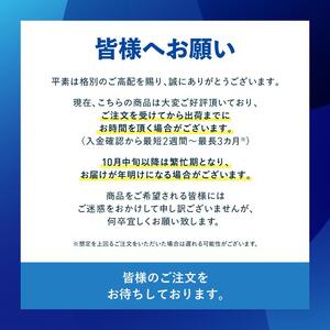 ダイキン 加湿ストリーマ 空気清浄機 ホワイト ACK705A-W(適用畳数：31畳/PM2.5対応)
