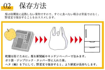 BH004 【令和9年度出荷分】【数量限定】 幸水梨 約2.5kg（5玉～8玉）