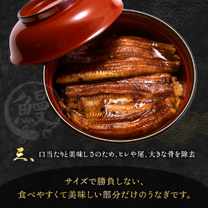 うなぎ 串蒲焼き 5尾 小分け 詰め合わせ 冷蔵 うなぎ
