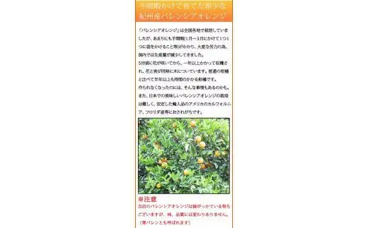 秀品 希少な国産バレンシアオレンジ 2.5kg ※2027年6月下旬頃～2027年7月上旬頃に順次発送【UT75】【uot809】