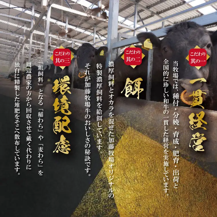 【柿安】 松阪牛 サーロイン ステーキ 600g 肉 牛 牛肉 和牛 ブランド牛 高級 国産 霜降り 冷凍 ふるさと 人気 ステーキ 3枚 脂 旨味 記念日