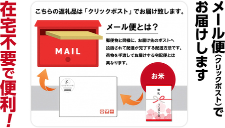 最短翌日出荷!! 【 お試しサイズ 】 コシヒカリ 150g (150g×1袋)  令和７年産 茨城県産 お試し ♪ 1合