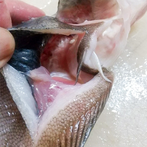 特大エテカレイ 5枚 一夜干し カレイ 干物 小分け 個包装 特大エテカレイ