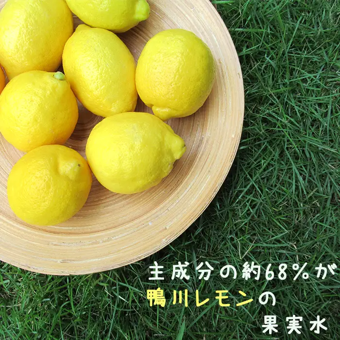 【鴨川のご当地コスメ】LimOce-リモーチェ-『洗顔フォーム』＆『オールインワンクリーム』各１本　[0018-0001]