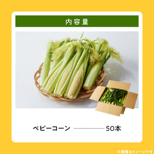 【ふくおかエコ農産物認証】農家直送！SDGs米糠堆肥で作ったベビーコーン50本【2026年5月より順次出荷】_ふくおかエコ農産物 2026年5月より順次出荷 農家直送 ベビーコーン とうもろこし 50本 メロンより 甘い プレミアムコーン シャキシャキ 食感 旬の味 八宝菜 サラダ 野菜 オーブン焼き レンチン お取り寄せ 酒見農産 福岡県 久留米市 送料無料 〔Gv036〕