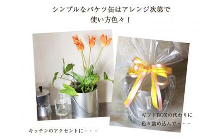 バケツ 型オリジナルクッキー詰め合わせアラモード 7種類56枚入り 