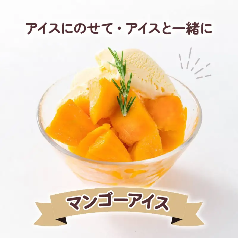冷凍 完熟 マンゴー 500g マンゴー