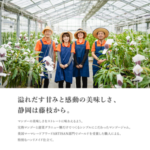  マンゴー ジャム 厳選 3種 詰合せ マンゴージャム