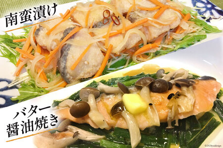 3回 定期便 鮭 切り身 塩銀鮭パック 3切 ×3袋 ×3回 総計9袋