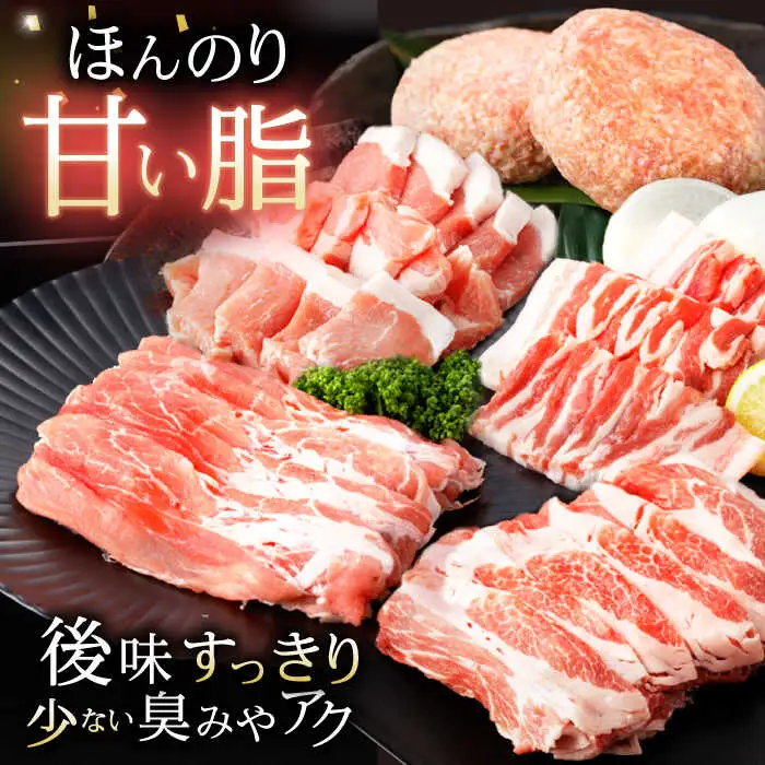 諫美豚しゃぶしゃぶ焼肉ハンバーグセット計2.7kg / 豚肉 ロース モモ 肩ロース バラ ハンバーグ 小分け / 諫早市 / 株式会社土井農場 [AHAD056]
