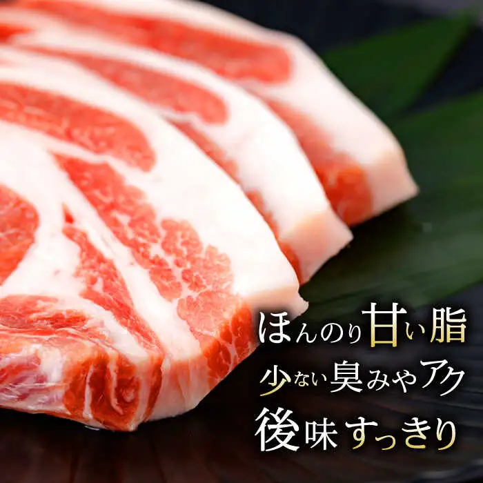 諫美豚バラエティセット計3kg / ロースステーキ モモ 肩ロース 切り落とし ハンバーグ / 豚 豚肉 ロース ステーキ 切り落とし 小分け / 諫早市 / 株式会社土井農場 [AHAD050]