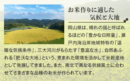 【無洗米】食べ比べ8kg（こしひかり2kg×2袋、あきたこまち2kg×2袋）【6ヶ月連続お届け】