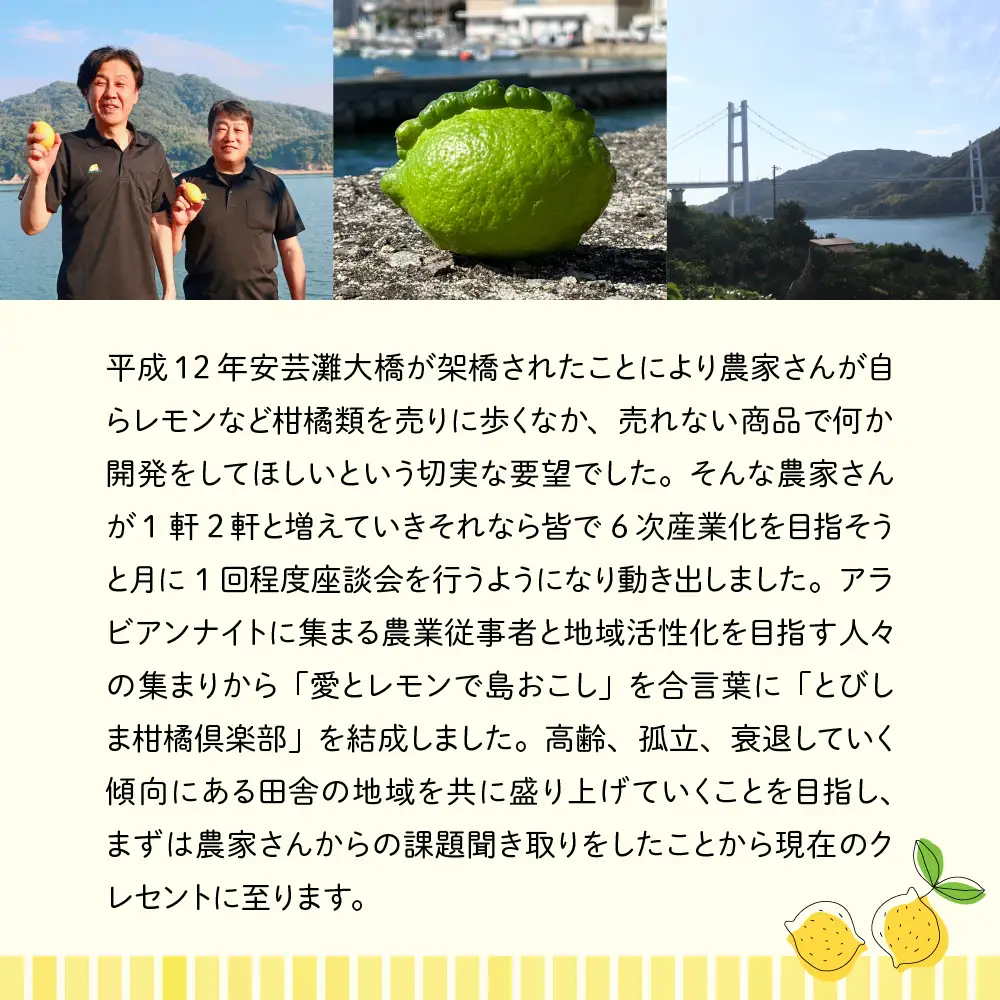 クラフトレモンシロップ ピンクのレモネードしそ4本 クラフト レモネード 紫蘇 シソ 希釈 果汁 飲料 果物 フルーツ 柑橘 ギフト 贈り物 瓶 お取り寄せ 常温 送料無料 広島 広島県 呉市 ku118-005-r