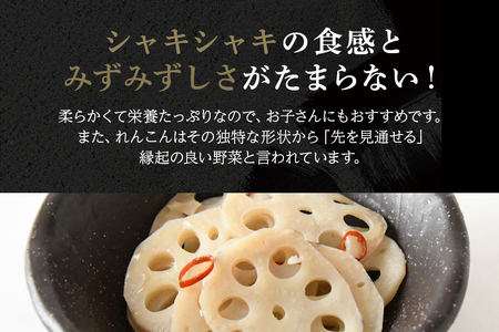 れんこん 1.5kg 野菜 れんこん レンコン 蓮根 国産 9月上旬～2月中旬まで順次発送予定 51-C